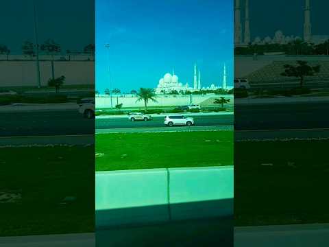 Sheikh Zayed Grand Mosque 🕌 Abu Dhabi #shorts #short #shortvideo #500subs