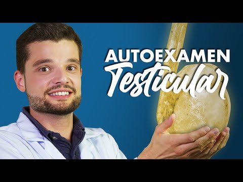 Testículos: cómo hacer el autoexamen y evaluar su salud