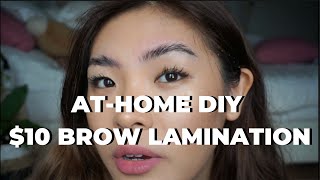 DIY BROW LAMINATION AT HOME