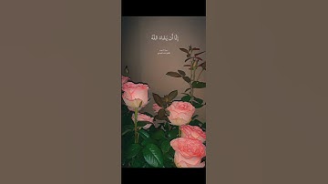 لتكملة سورة الكهف ⬆️ #quran #قرآن
