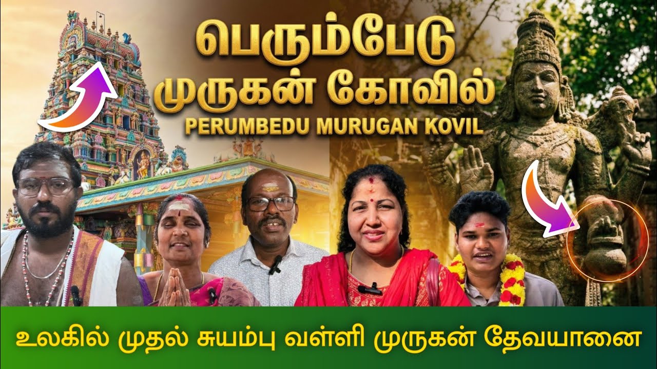 11 வாரத்தில் கல்யாணம் நிச்சயம்! 🕉️ | Perumbedu Murugan Temple | Siruvapuri Arupadai Veedu