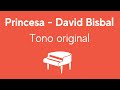 Pianocanta - David Bisbal - Princesa (Karaoke)