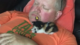 A Man was Against Adopting a Stray Kitten, but the Kitten Left Him No Chance screenshot 4