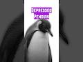 Depressed Penguin in India?