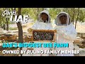 Uaes biggest bee farm owned by he sheikh saleem  stories from uae ep 2  curly tales me