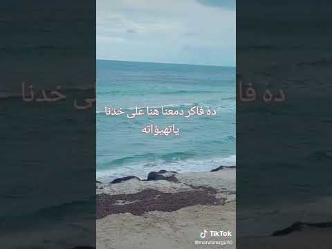 غلبان اغنية اصالة الجديدة