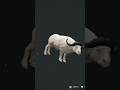Albino Cape Buffalo!!! The Hunter Call Of The Wild #cotwgameplay #cotw #thehuntercotw