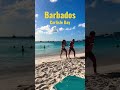 I love the beautiful island of Barbados ✨☀️🇧🇧🏝 The stunning Pebbles beach Carlisle bay ✨ #shorts