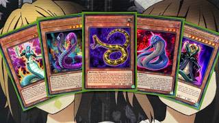 My Snake Yugioh Deck Profile for Post Glorious Gallery