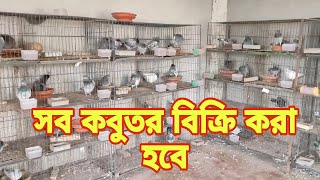 রেস করা সব কবুতর গুলো বিক্রি করে ফেলবে