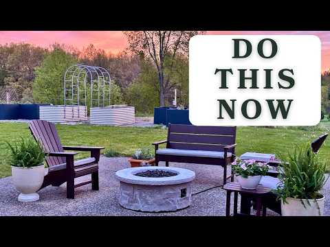 Everything I Do in Spring to Prep My Yard & Patio for Summer