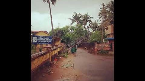 ಗಾಳಿ-ಮಳೆಗೆ ವಿದ್ಯುತ್ ಕಂಬಗಳು ರಸ್ತೆಯಲ್ಲಿ ಉರುಳಿ ಬಿದ್ದ ಘಟನೆ ಕಾರವಾರದ ಗ್ರಾಮೀಣ ಭಾಗದಲ್ಲಿ ನಡೆದಿದೆ