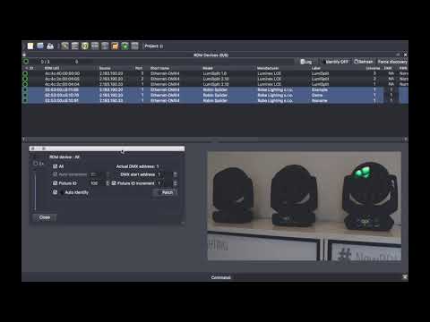 Luminex LumiNet Monitor User Guide (9/12): RDM Panel