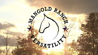 Mangold Ranch Versatility ---  WNY EquiFest 2018 by phantom357 1,382 views 6 years ago 8 minutes, 46 seconds