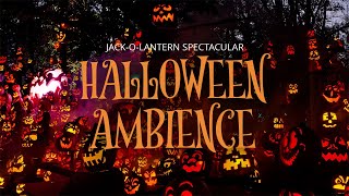 Spooky Halloween Pumpkin Ambience | Jack-O-Lantern Spectacular | Minnesota Ambience