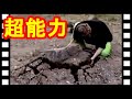 【超能力】これ本物！？念力・瞬間移動　海外エスパー映像１０本！！