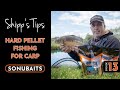 SHIPP'S TIPS - Episode 13 - Hard Pellet Fishing For Carp