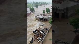 Heavy Flood In Stan