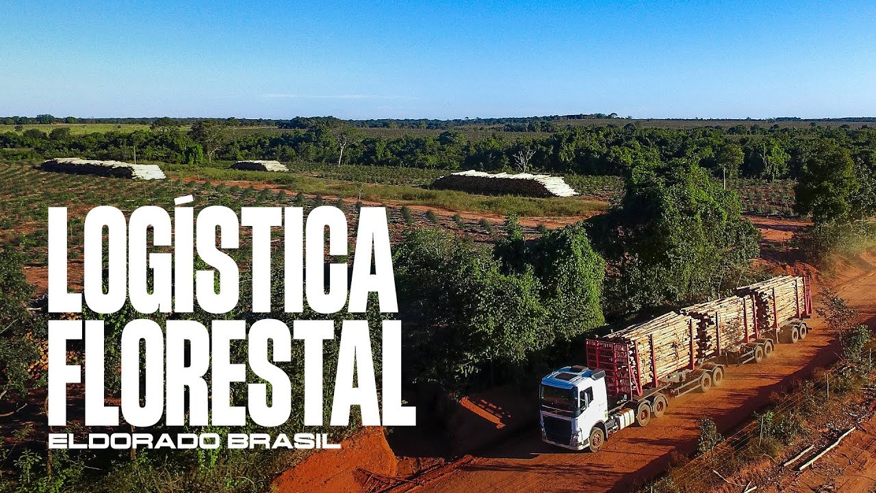 Eldorado Brasil • Logística Florestal