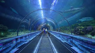 SeaWorld Shark Encounter 2022 Cinematic 4K Tour Orlando Florida