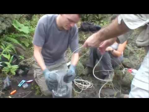Ranker Video