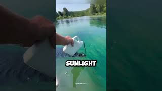 The Blue Water Trick Every Pond Owner Should Know! 🌊🔥 The Blue Water Trick Every Pond Owner Should Know! 🌊🔥