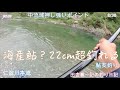 海産鮎？２２CM超釣れる！/ 田舎暮一記の釣り日記