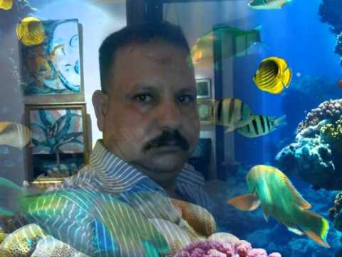 يامالك قلبى فى الهوا محمود درويش