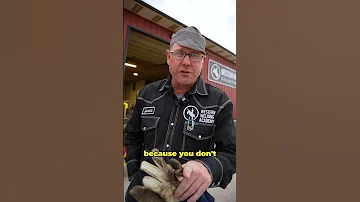 How To Find A Welding Job Shorts 