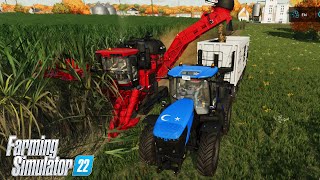 BİLMEM KAÇ MİLYON ŞEKER KAMIŞI HASADI // Farming Simulator 2022 #75