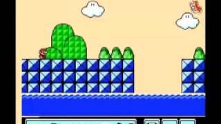 Malamite vs. Mario Bros.
