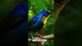 ألوان ساحرة في عصفور واحد 🌈🐦Magical Colors in One Bird #shorts