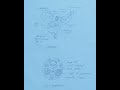 Pancreas||T.s of Pancreas# histology of pancreas#bsc#msc #zoology#practical#diagram#viralshorts