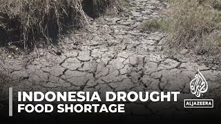 Kekeringan di Indonesia: Ribuan orang menghadapi kekurangan pangan