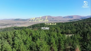 Zlatiborska riznica - Emisija o pečurkama