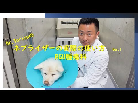 ネブライザー　実際の使い方　Ver 1　RGU腫瘍科　Dr Torisu