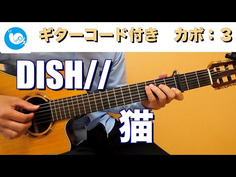 DISH//(北村匠海) - 猫  THE FIRST TAKE【ギターコード・歌詞付き】guitar cover カラオケ