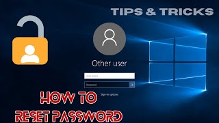 Windows 11 Password Reset: Step-by-Step Guide for Forgotten Passwords