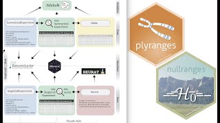 Tidy Genomics Analysis Workshop: Tidy Enrichment and Tidy Transcriptomics