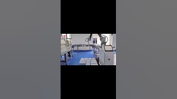 palletizing robot working in bottled beverage intelligent production line #automobile #machine