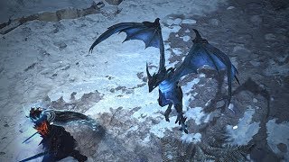 Path of Exile: Arctic Dragon Hunter Pet Path of Exile: Arctic Dragon Hunter Pet