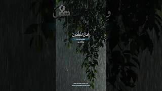 Heartfelt recitation of Surah Al-Insan (19–20) by Sheikh Ahmed Nuaina (الشيخ أحمد نعينع) | #quran