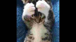 Sold Free For Profit Guitar Beat..............