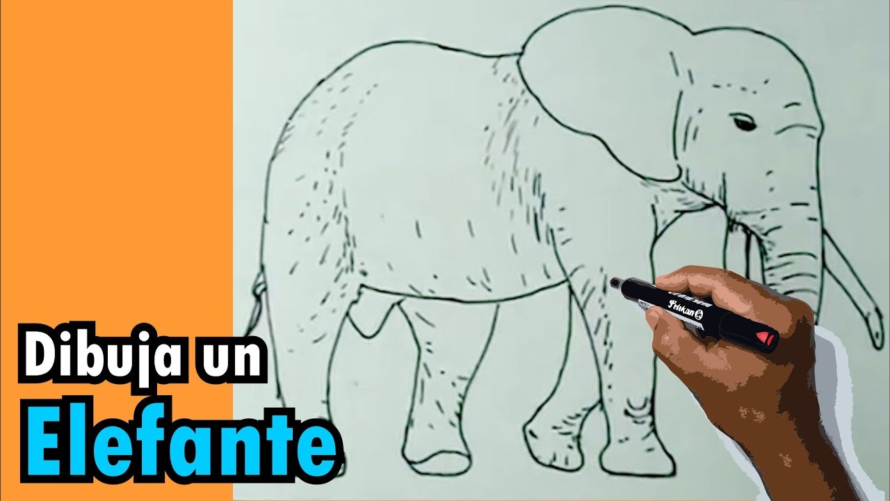 Como hace el elefante