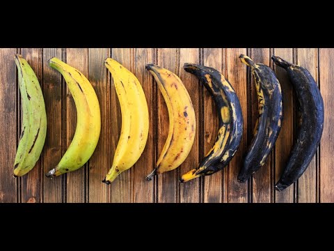 HOW TO STORE AND PRESERVE RIPE PLANTAIN FOR  UP TO 1 YEAR AND MORE