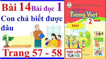 Vở Bài Tập Tiếng Việt Lớp 2 Bài 14 | Con chả biết được đâu | Trang 57 - 58 | Cánh Diều | Bài Đọc 1