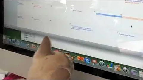 Video 1214711: burmese kitten, cute burmese kitten, lilac burmese, kitten pets