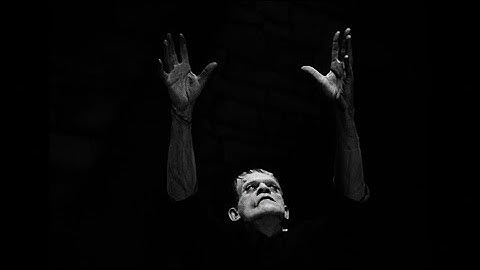 The Wave Pictures - Alice (Official Music Video)