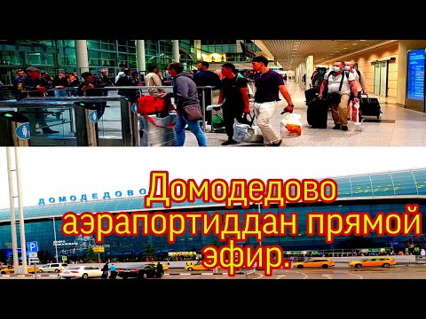 Video: YVR аэропортуна канча эрте жетишим керек?