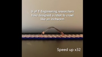 Soft robot programmed to move like an inchworm